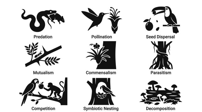 Ecological Relationships Biological Interactions.