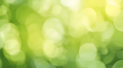 Fototapeta premium Abstract Green Bokeh Background with Soft Focus and Light.