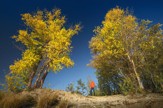Man on an outdoor excursion on a sunny autumn day, with yellow trees against deep blue sky