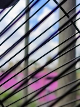 In the form of bokeh of a close-up of a sunny day in the city.En forma de bokeh de un acercamiento de un d&iacute;a soleado en la ciudad.(22)