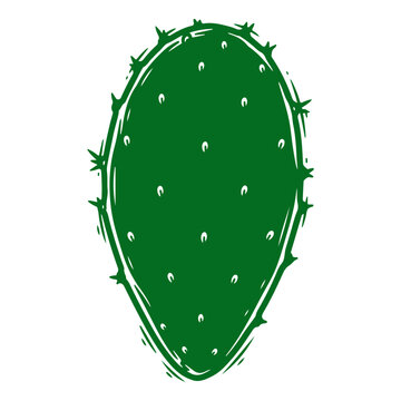 Illustration of a Green Cactus Pad with Thorns.