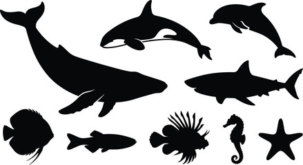 Sea animals and ocean life black silhouette icons set with whale shark dolphin orca seahorse lionfish starfish isolated on white background © Rakib