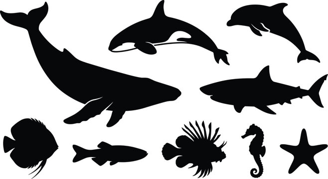 Sea animals and ocean life black silhouette icons set with whale shark dolphin orca seahorse lionfish starfish isolated on white background