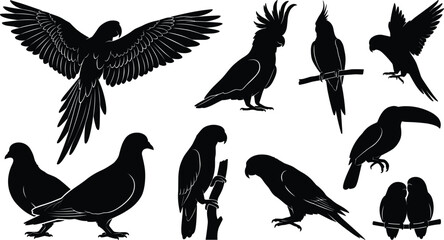Tropical birds and exotic parrots black silhouette icons set featuring flying macaw cockatoo toucan lovebirds parakeet pigeons isolated on white background © Rakib