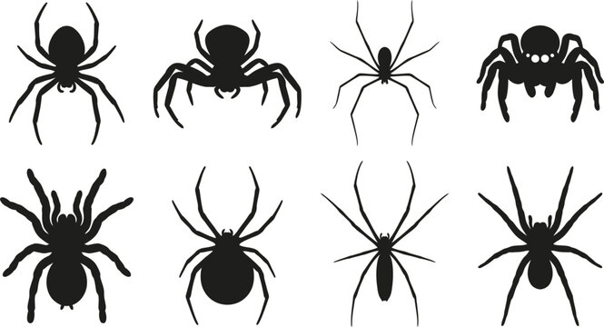 Spider Silhouette Vector Set Featuring Creepy Arachnid Icons, Black Spider Collection, Halloween Wildlife Clipart For Logo, Sticker, Web, Print And Graphic Design