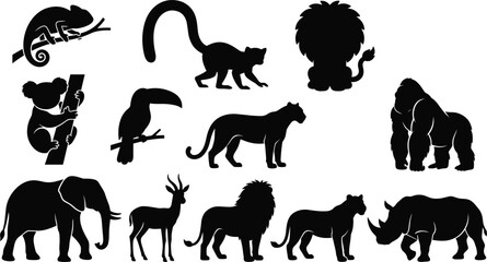 Wild animals and jungle wildlife black silhouette icons collection featuring lion elephant gorilla rhino toucan koala panther chameleon isolated on white background © Rakib