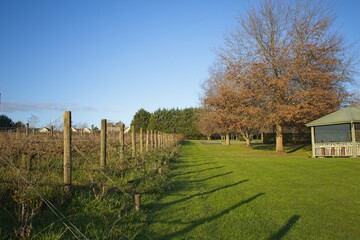 Fototapeta premium Winter Vineyard and Luxury Estate Grounds in Yarra Valley