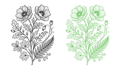 Botanical floral arrangement with poppy and fern elements in a hand-drawn vector illustration style © Abdul