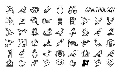 Fototapeta premium Bird ornithology outline icons vector wildlife pack