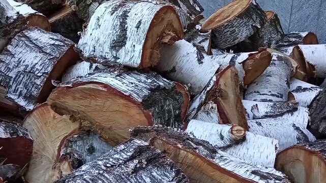 prepared logs for a fire or barbecue in the village