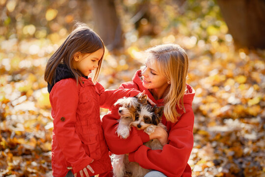 Mother and daughter playing in autumn forest with dogs