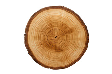 Obraz premium Tree trunk cross section showing annual rings, growth texture, wood pattern, and natural timber structure