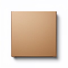 Fototapeta premium blank cardboard box
