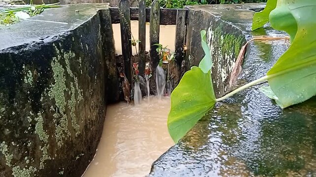 water flowing in the river