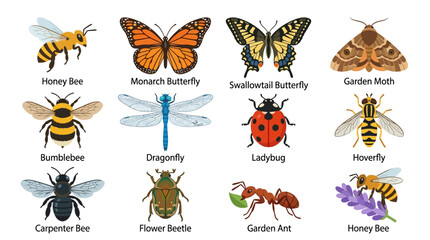 Obraz premium Insects and butterflies are gathered on flowers and leaves in a garden.