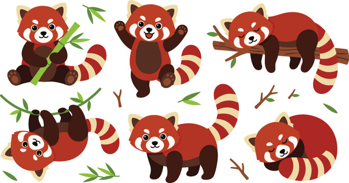 Cute red panda cartoon character set showing different poses including eating bamboo standing sleeping on branch hanging upside down and curled vector