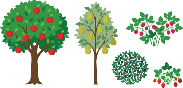 Fruit tree and berry bush set featuring red apple tree yellow pear tree raspberry shrub blueberry bush and wild strawberry plants vector