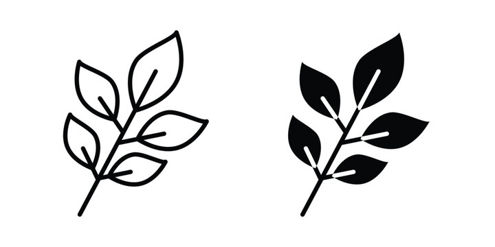 Basil icon editable graphics bundle