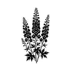 Tall foxglove flower stems silhouette illustration © Md CF ID #17860857