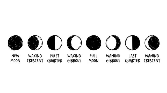 Hand drawn moon phase icons new waxing crescent first quarter waxing gibbous full waning gibbous last quarter waning crescent, black ink sketch vector illustration
