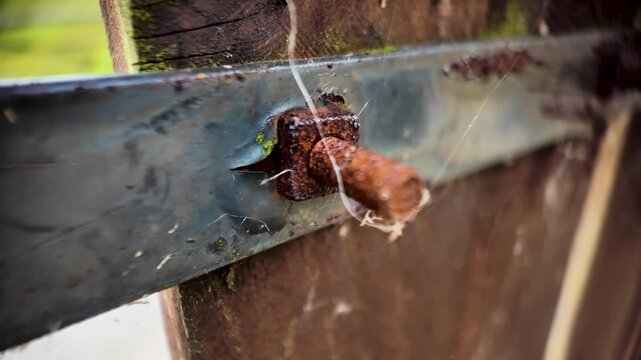Detailed macro shot of a weathered, rusty metal bolt on an old wooden gate, showing intricate textures and decay.