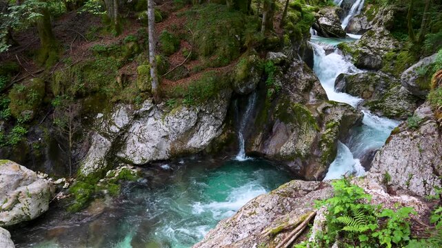 &Scaron;unik Water Grove flows through mossy rocks and lush forest in Lepena Valley, right pan shot.