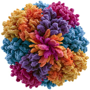 Heat shock protein molecular chaperone assisting protein folding, biomedical science concept,
