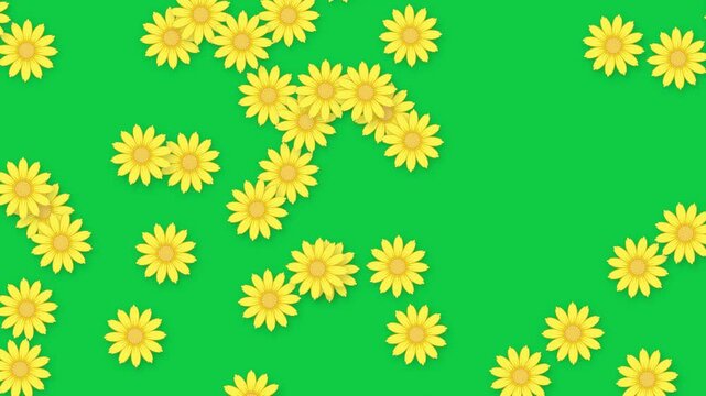 Animated Yellow Daisy Flowers Falling Downward Over Solid Green Background