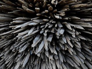 Naklejka premium close-up view of a tightly stacked bundle of sharpened wooden stakes, highlighting the rugged texture, weathered wood grain, and radial arrangement. The image creates a striking abstract pattern