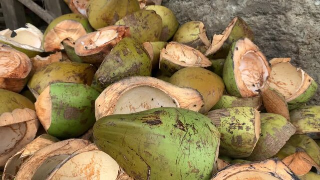 Pile of discarded young green coconut husks after harvest.