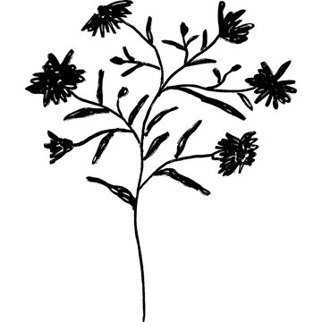 Abstract aster flower branches black silhouette 