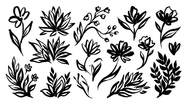 Hand Drawn Botanical Floral Elements Collection for Creative Design