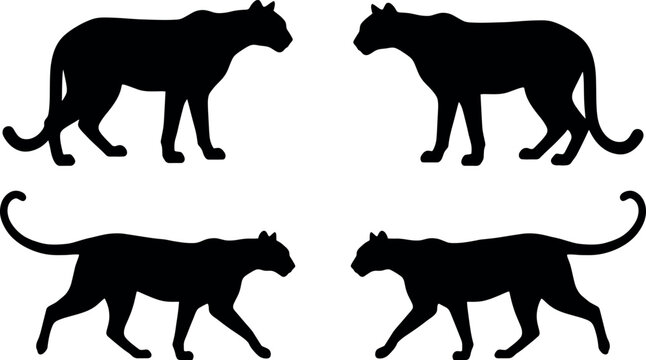 Title:
Black panther silhouette icon set with wild big cats walking and standing isolated on white background vector template
