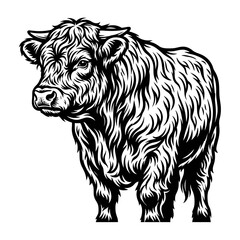 Obraz premium Highland Cow Illustration - Black and White Vector Art