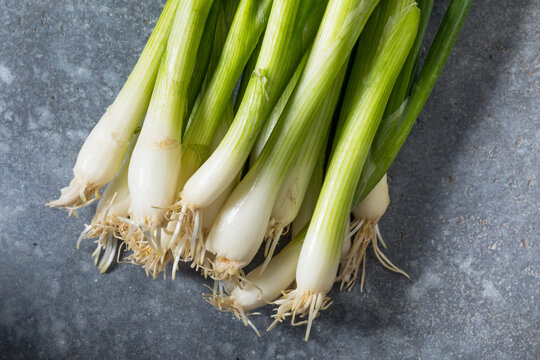 Raw Organic Green Onion Scallions