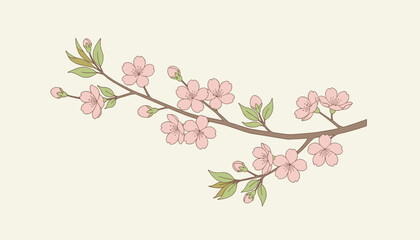 Fototapeta premium Beautiful cherry blossom branch illustration features delicate pink flowers and soft green leaves on a warm cream background.