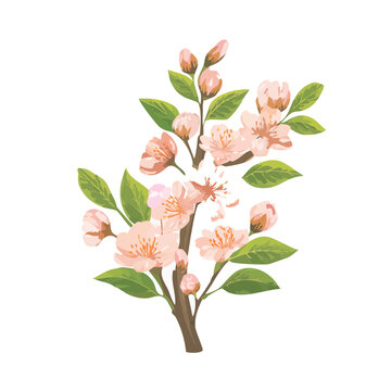 Spring Floral Bouquet Illustration