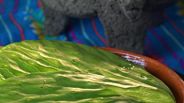 Traditional Mexican cuisine ingredients. Fresh nopales and colorful textile
