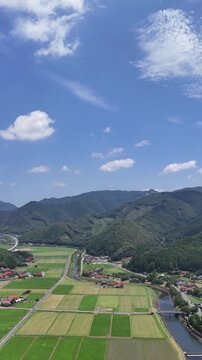Aerial View of Rural Rice Fields and Small River in Mine Yamaguchi Japan, Vertical Summer Countryside Landscape 03