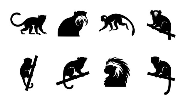 70 Monkeys Silhouette Collection, Primate Vector Icons, Jungle Animals Graphics, Wildlife Silhouettes for Design 100