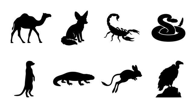 70 Desert Wildlife Silhouettes: Camel, Fennec Fox, Scorpion, Snake, Meerkat, Lizard, Jerboa, Vulture Vector Icons for Nature and Safari Themes 100