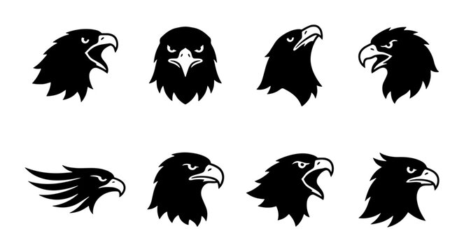 70 Eagle Head Vector Icons Set, Majestic Bird Profiles, Fierce Raptor Emblems, Powerful Wildlife Graphics, Black and White Silhouette Collection 100