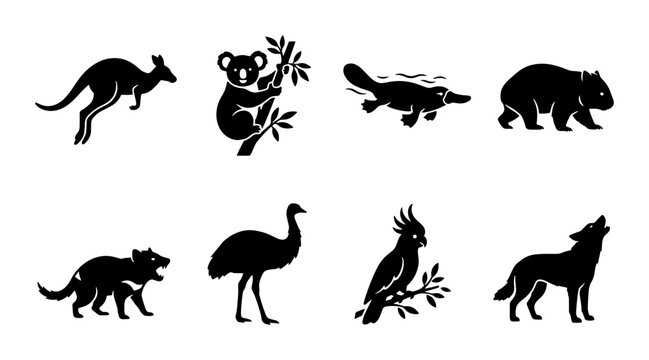 70 Australian Wildlife Silhouette Icons: Kangaroo, Koala, Platypus, Wombat, Tasmanian Devil, Emu, Cockatoo, Dingo Vector Set 100
