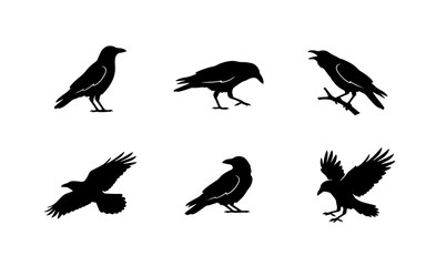 Fototapeta premium 70 Black Crow Silhouettes, Vector Set: Perched, Flying, and Standing Birds, Gothic and Mysterious Avian Icons for Design 100