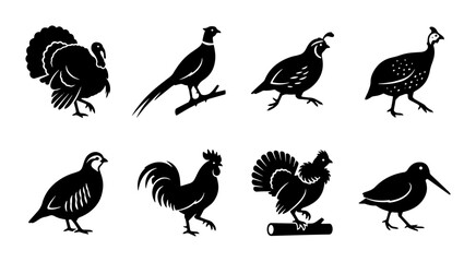 Fototapeta premium 70 Set of 8 Silhouette Game Birds Vector Icons: Turkey, Pheasant, Quail, Grouse, Rooster, Partridge, Woodcock, Guinea Fowl for Hunting and Ornithology Graphics 100