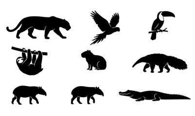 Fototapeta premium 70 Amazon Rainforest Wildlife Silhouettes Collection, Diverse Jungle Animals Vector Pack, Tropical Fauna Icons Set, Black and White Nature Graphics 100