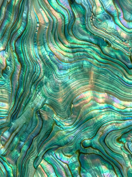 reen mother of pearl texture background, vertical macro of iridescent mint and emerald nacre shell with soft wave pattern