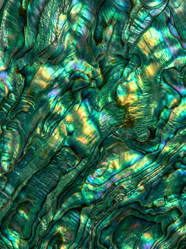 Jade green abalone shell texture background, vertical macro of iridescent olive nacre with metallic gold wave patterns