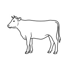 Fototapeta premium Simple Line Drawing of a Cow, Farm Animal Illustration