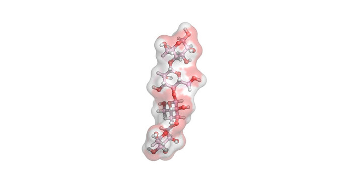 Glucomannan, dietary fiber polysaccharide for weight management and digestion, 3D molecule 4K